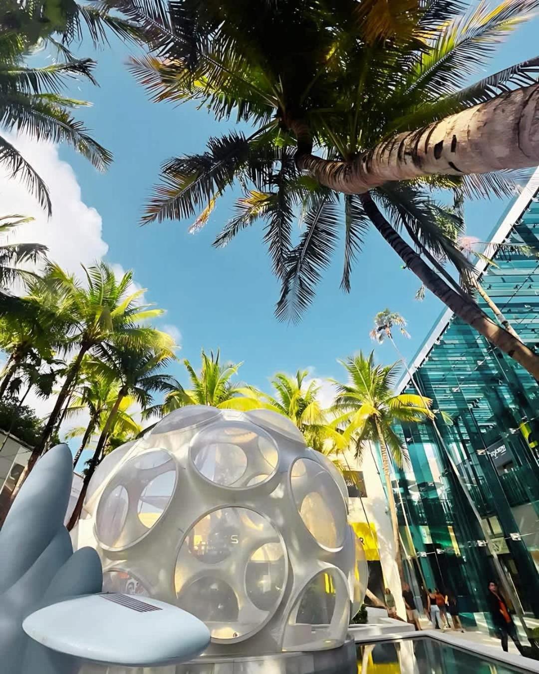 Cozy Xxl Free Parking Apartment Miami